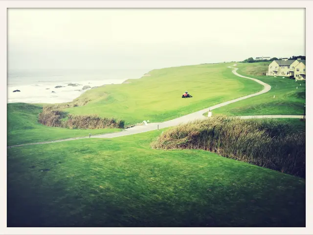 District of Rastatt awards monthly stipend of 500 euros to a young family physician residing in...