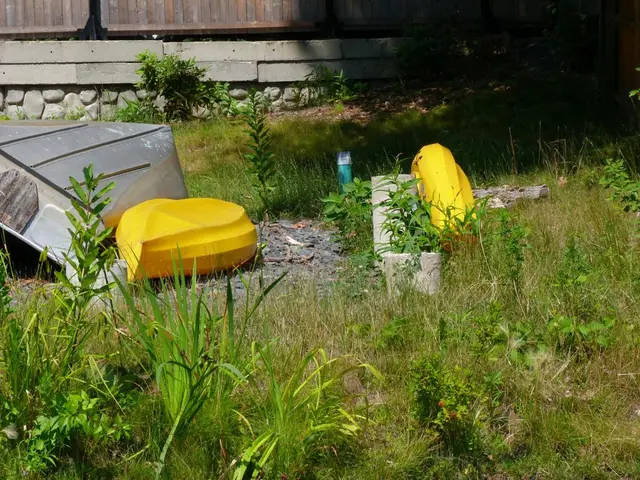 Nauru, an island nation, monetizes access to fund climate initiatives