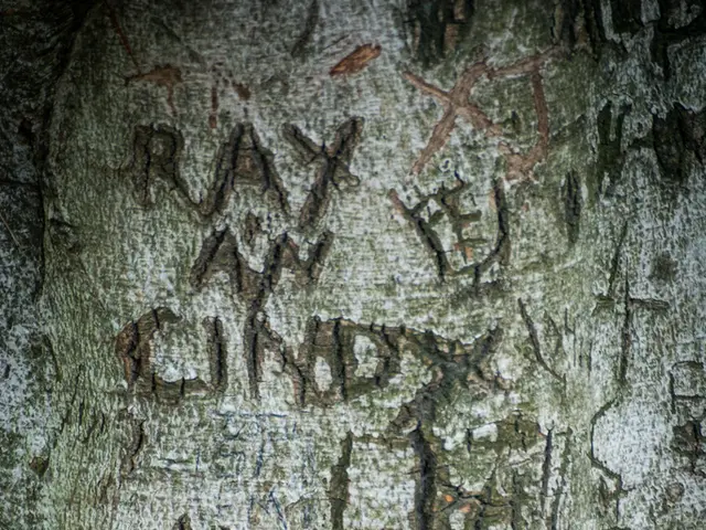 New Tariff Impacts: Analyzing the Effects of U.S. Trade Sanctions on Germany