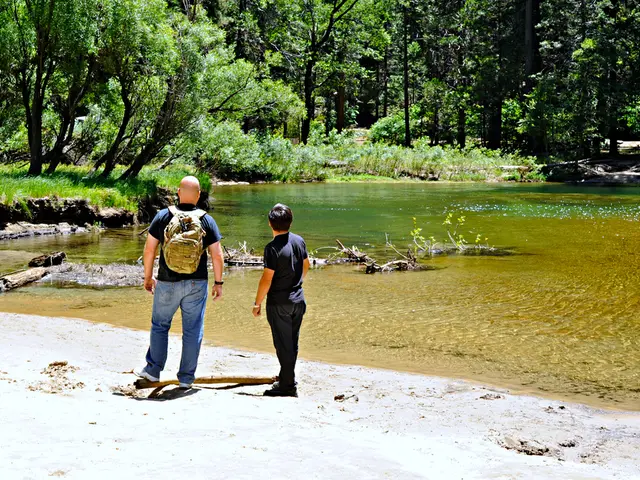 Financing Activities Cash Flow Explanation: Definition, Components