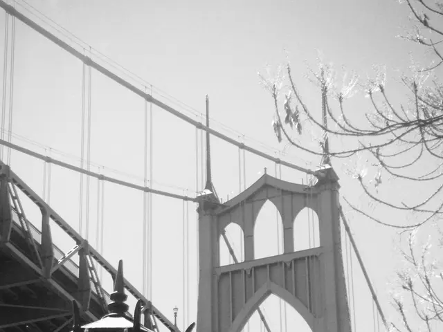 Cor faced a request for loan extension amounting to $85,000 from Todd Howe, amidst the cloud of...