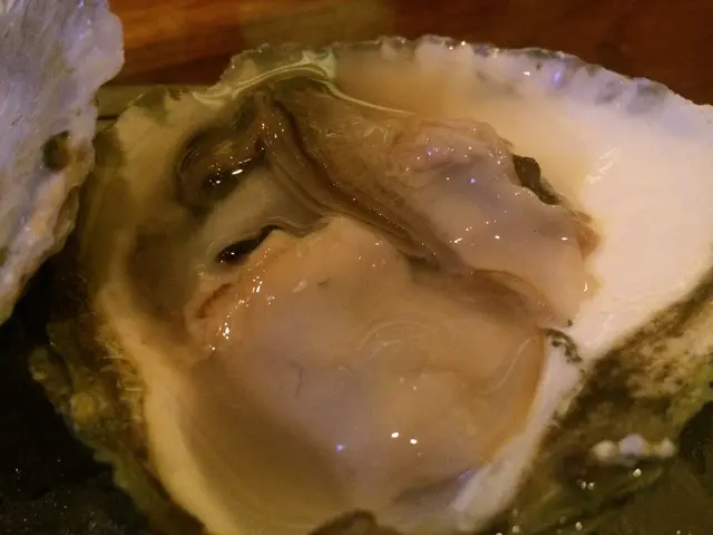 Authorities in Abu Dhabi document unlawful harvesting of oysters from a marine sanctuary