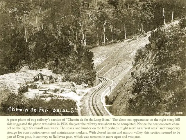 Deforestation and potential ecological harm: improper disposal of oil within woodlands