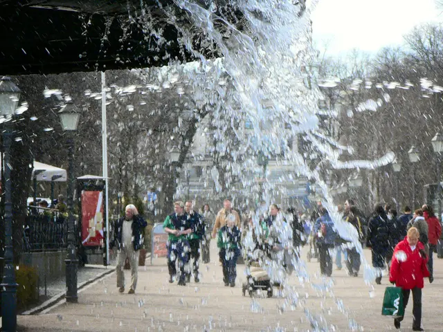 Damaging of trees following a water pipe rupture in Gustav-Stresemann circle