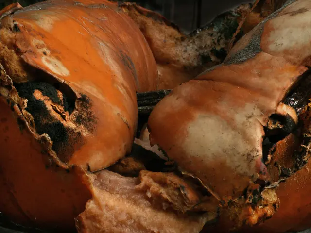 Innovator Leading the Field