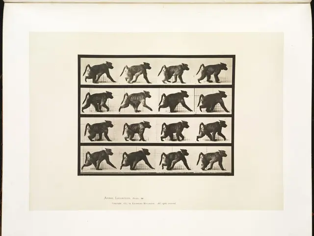 Living Matters: A Glance into Existence