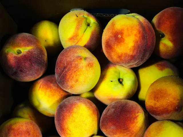 U.S. Investment Boost: Donald Trump and Apple to Reveal $100 Billion Commitment During Oval Office...