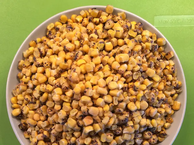 Regal Resources' Initial Public Offering (IPO) launches today, with a price range of ₹96 to ₹102...