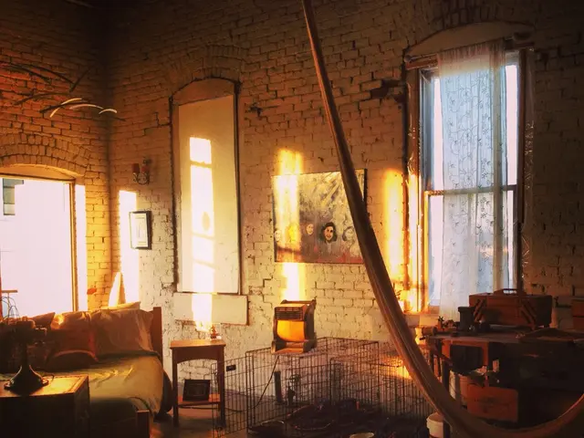 Romania plans to eliminate special VAT rates, leaving only exceptions for food items and...