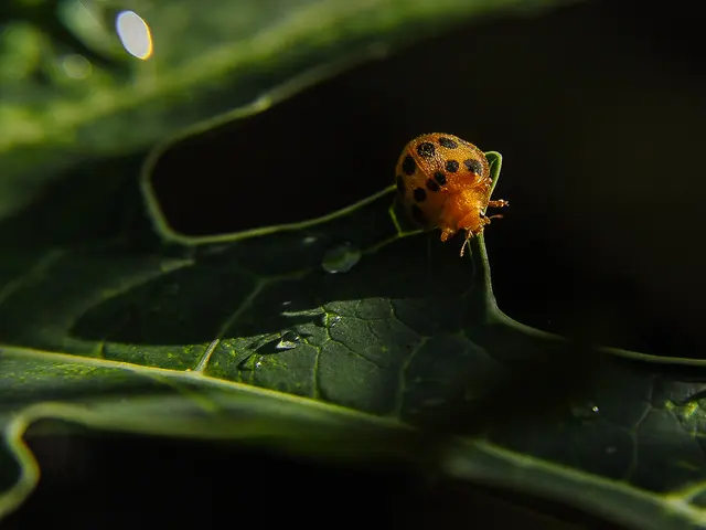 Chevy Silverado Suffered Unwelcome Rear Clunk/Squeak, Dealer Suggested Tightening U-Bolts, Yet...