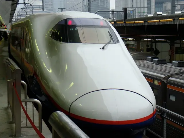 State-run leasing company Vector Rail controls railway vehicles