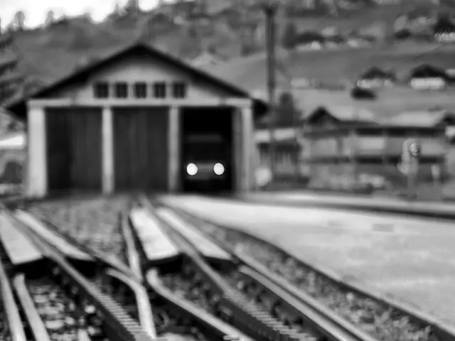 Financial management roles, specifically in accountancy and auditing, with an emphasis on savings...