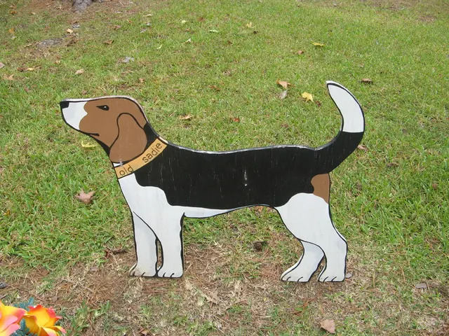 Record-breaking surge in Dogecoin volume as bullish momentum escalates