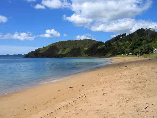 Merlin Entertainments, the proprietor of Legoland, abandons plans to sell Sea Life facilities.