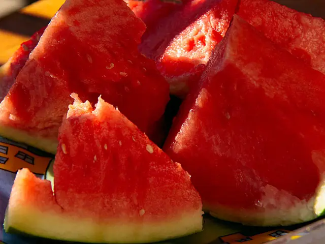 Watermelon export earnings and the associated entities involved.
