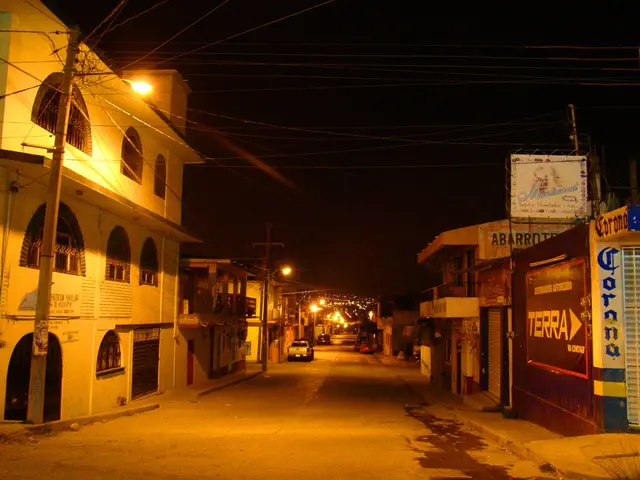 Top energy transition investment prospects for the year 2025