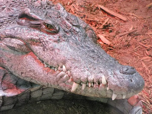 Newly Revealed Mineral Resources at Comet Site by Cobre, Prioritizing Affordable In-place Copper...