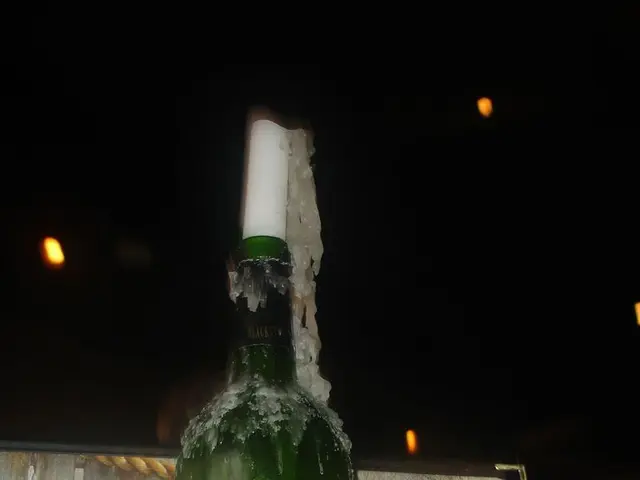 Top 9 Affordable Money Management Tools Perfect for Summer Spending