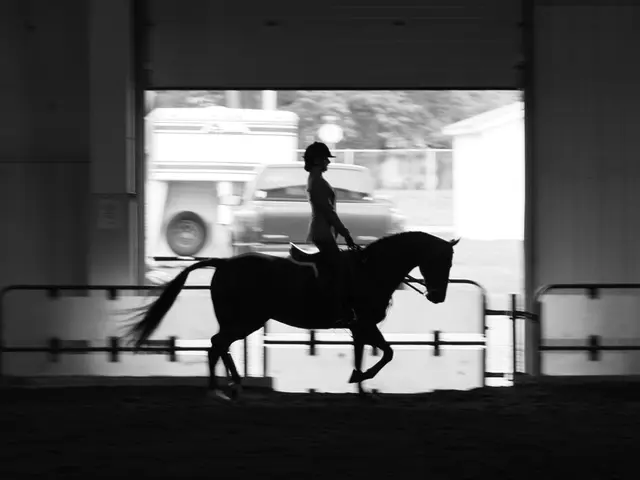 Financial conflict between Patrick Neville and a part-owner of The Real Whacker has led Neville to...