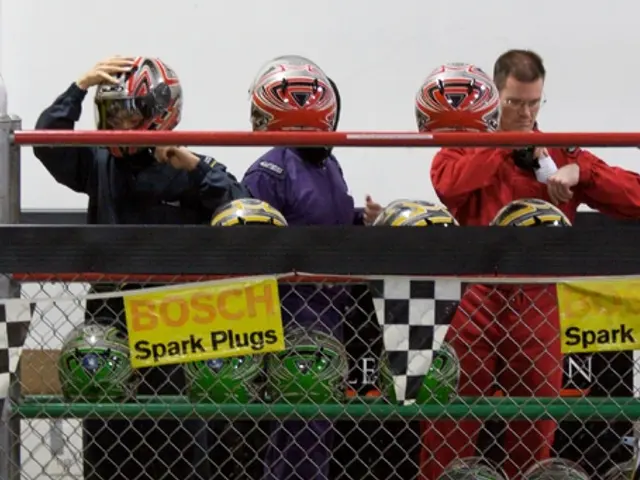 Lawyer's Argument in Solingen Case Concerning Security Matters