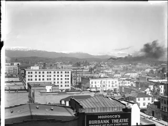 Customs Authority Reveals Preliminary Examination Figures for Kiliani Festival's Show Business...