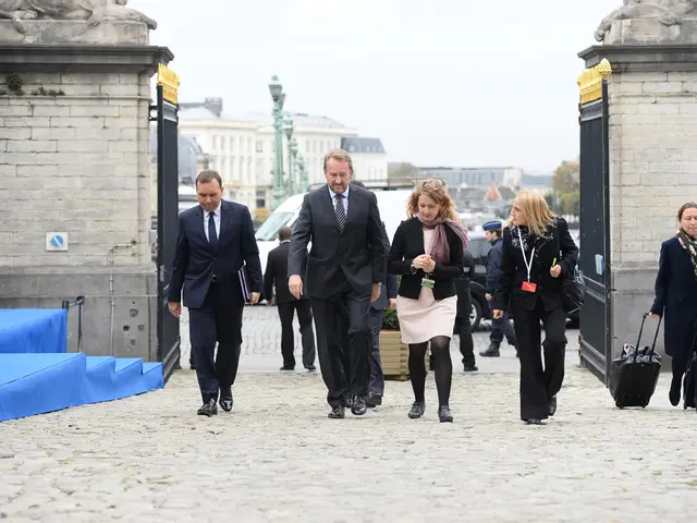 National Authorities from Member States will provide support to the Commission.