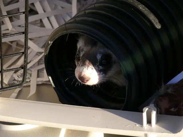 Revised Logo Leads to Decrease in Cracker Barrel Visits