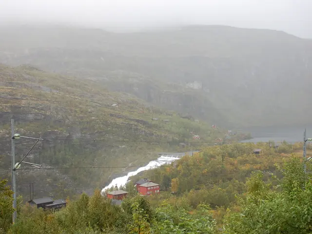 Navigating Regulatory Examinations Amidst Cost Examination Intensity