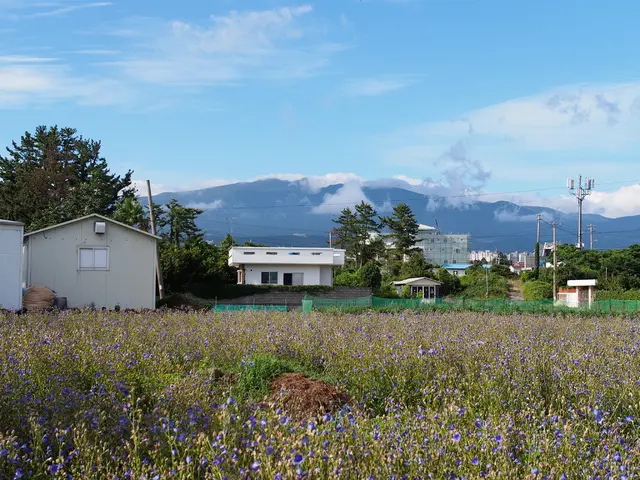 Construction of solar, battery, and gas-powered energy microgrids receives $1.8B in funding from...