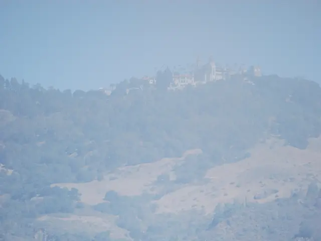 Deputized individual reveals sale of horse farm in Astana for 200 thousand dollars, followed by...