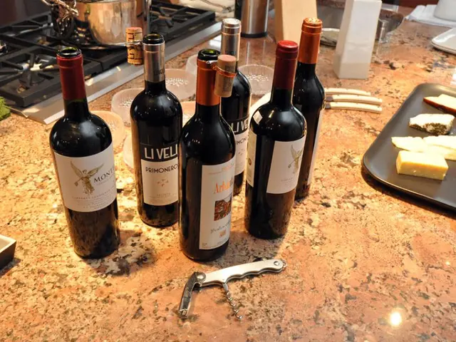 "Stovekraft Embraces GST Revision, Transfers Advantages to Customers"