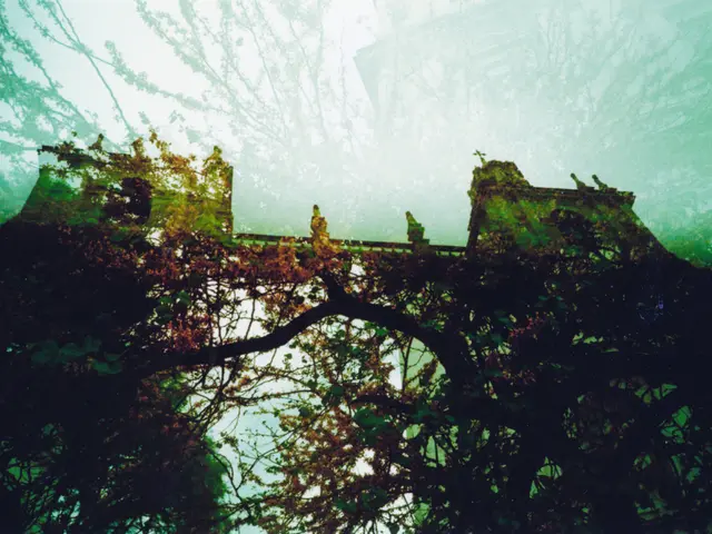 Construction work for a new bridge has commenced