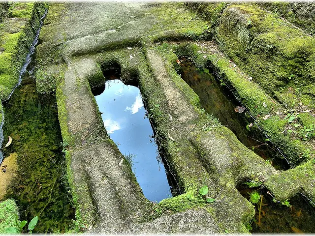 LEED Green Associate Certification Grants Approval for Green Energy Sources, Other Contenders Fall...