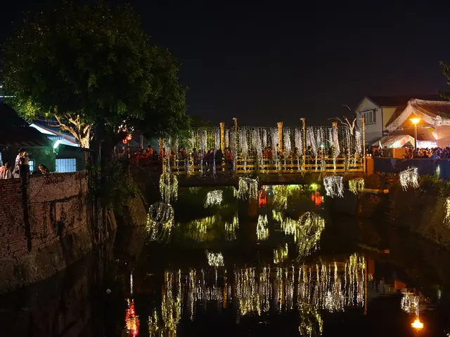 In this image there is water. There is the land on the either sides of the image. There is a bridge...