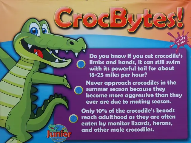 This is a poster. On the left side there is a drawing of the crocodile. Also there is a name and...