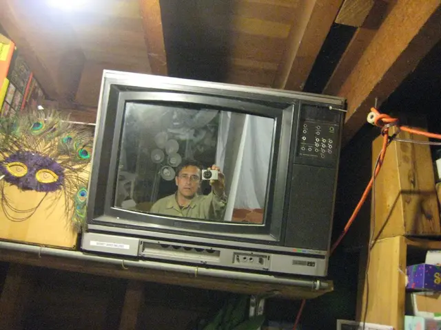 There is a television. On this screen there is a person. Here we can see peacock feathers, books,...