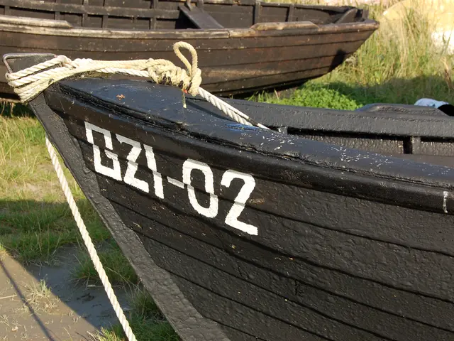 In this image we can see a few boats on the surface.