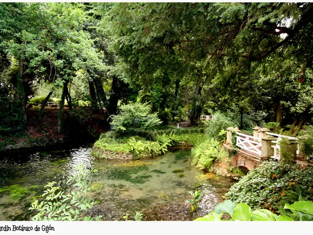 In this picture I can observe water in the middle of the picture. I can observe plants and trees on...