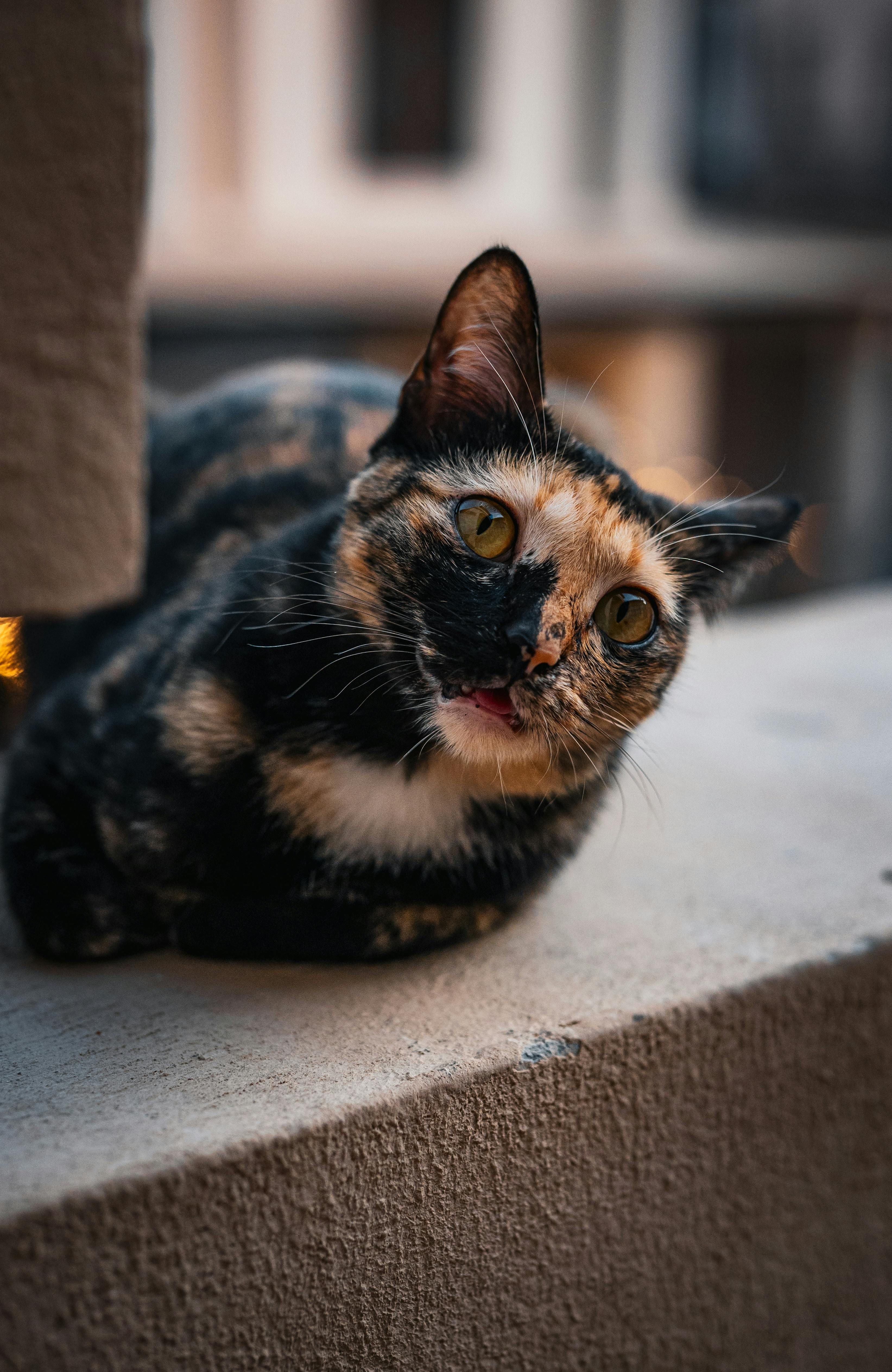 Senior official exits from British banking institution