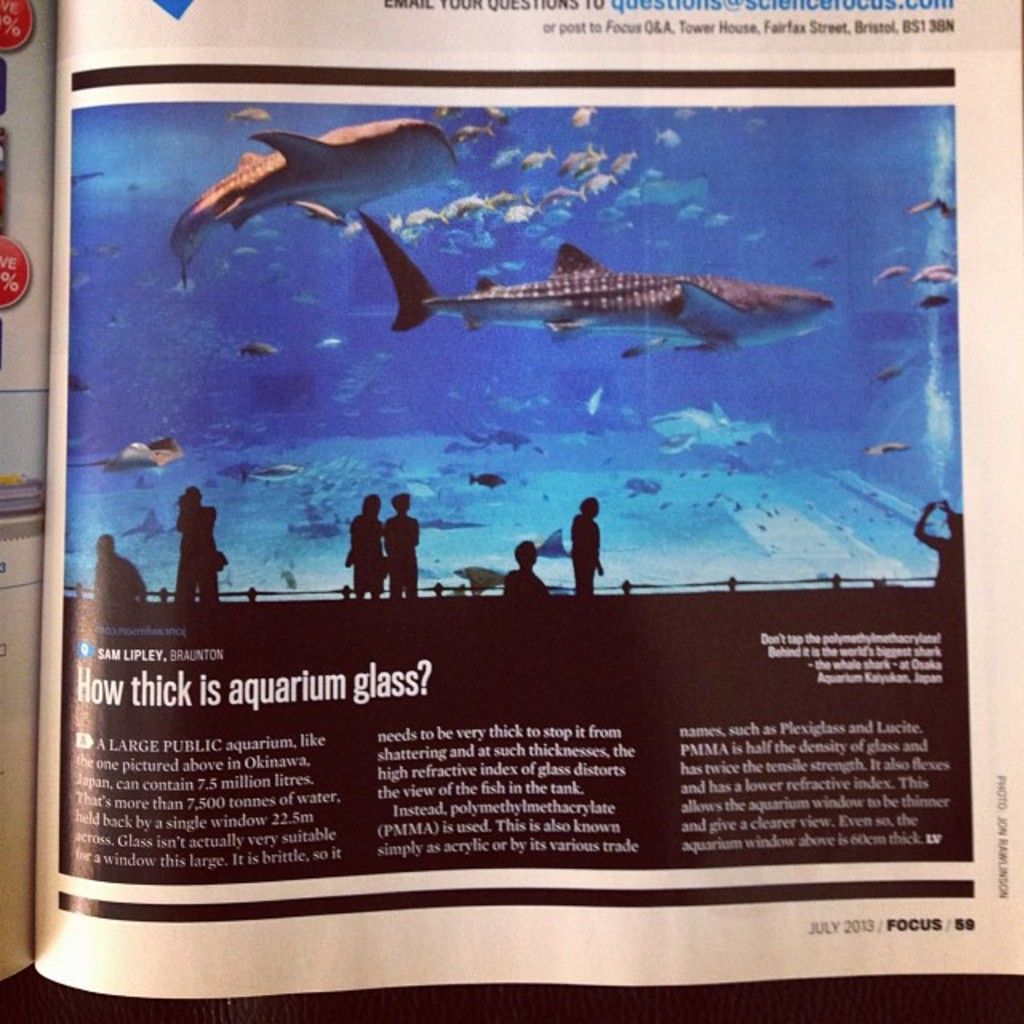 Florida enforcement agency issues halt orders to three foreign entities operating within its...